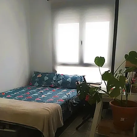 Apartmán En Cerca Del Mar - Con Piscina, Gimnasio Y Garaje